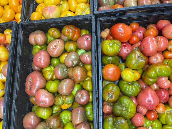 heirloom tomatoes Tomato Bliss