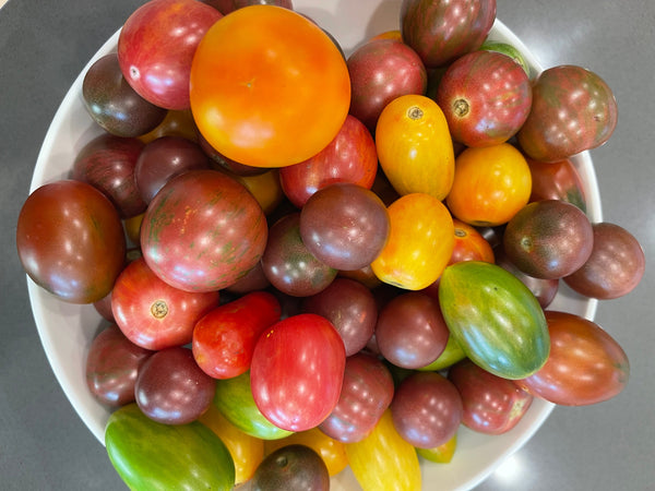 Discovering the True Potential of Heirloom Tomatoes