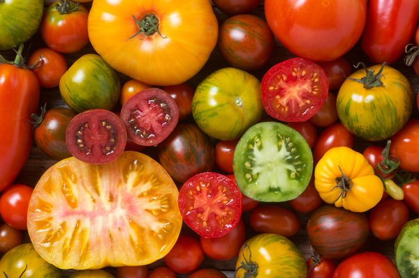 Rainbow tomatoes